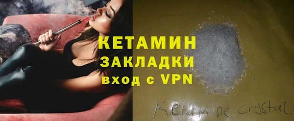 твердый Новозыбков