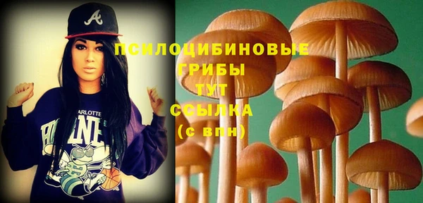 mdpv Нея