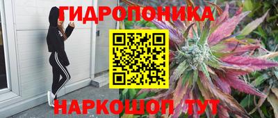 гидра Краснознаменск