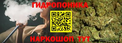 гидра Краснознаменск