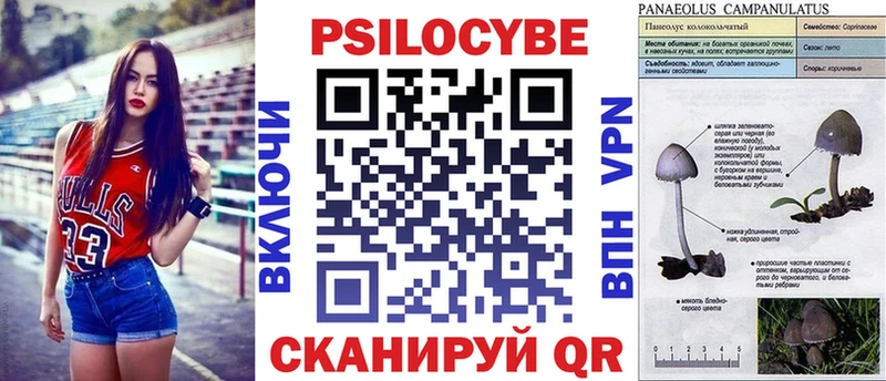 где купить наркотик  Новотроицк  Галлюциногенные грибы мухоморы 