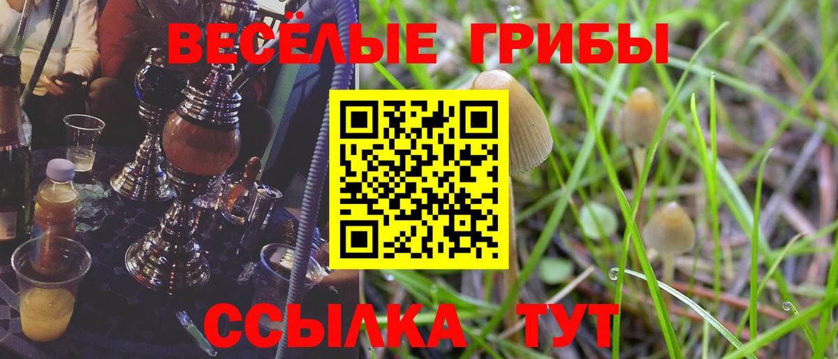 Новотроицк  Галлюциногенные грибы ЛСД  Галлюциногенные грибы Psilocybe  Вход с VPN 